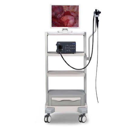 Фото товара Видеоэндоскопическая система Mindray Vetina ES3