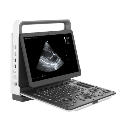 Ветеринарный УЗИ-сканер VETLIGA MV-3 Exp Фото товара Ветеринарный УЗИ-сканер VETLIGA MV-3 Exp