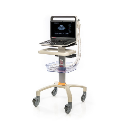 Ветеринарный УЗИ-сканер VETLIGA MV-3 Exp Фото товара Ветеринарный УЗИ-сканер VETLIGA MV-3 Exp