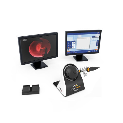 Симулятор гистероскопии MedVision HystVision Standart Фото товара Симулятор гистероскопии MedVision HystVision Standart