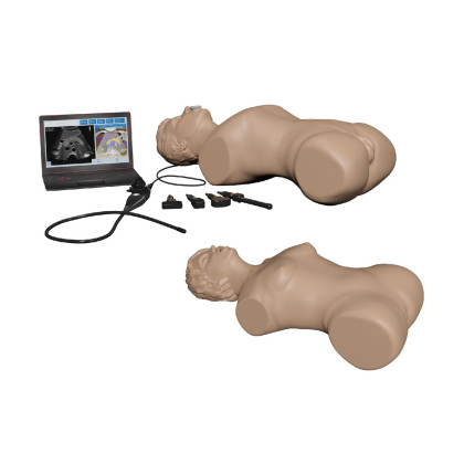 Фото товара Симулятор ультразвуковой диагностики MedVision SonoVision