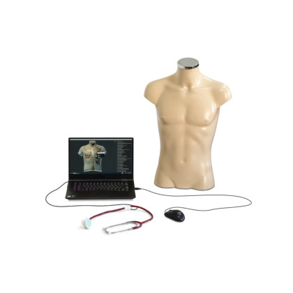 Фото товара Тренажёр по аускультации