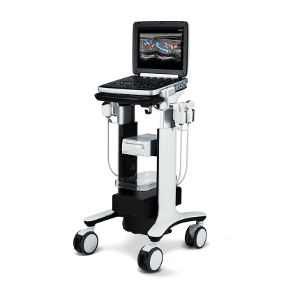 УЗИ аппарат РуСкан 70П Фото товара УЗИ аппарат РуСкан 70П