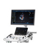 Фото товара Ультразвуковая диагностическая система GE Healthcare Vivid T8