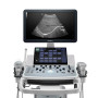 Фото товара Ультразвуковая диагностическая система Mindray DC-40 PRO
