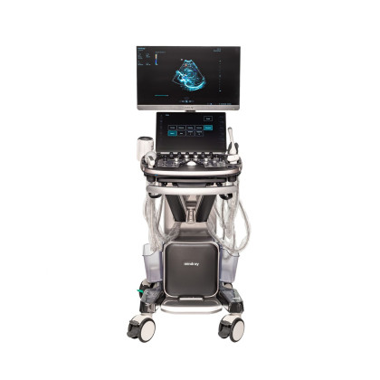 Ультразвуковой аппарат Mindray Imagyn I9 Фото товара Ультразвуковой аппарат Mindray Imagyn I9