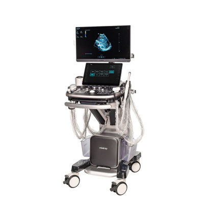 Ультразвуковой аппарат Mindray Imagyn I9 Фото товара Ультразвуковой аппарат Mindray Imagyn I9