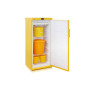 Фото товара Холодильник для медицинских отходов Бирюса 2506
