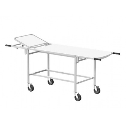 Тележка для перевозки больных ТБсп-01 МСК-401-01М Фото товара Тележка для перевозки больных ТБсп-01 МСК-401-01М