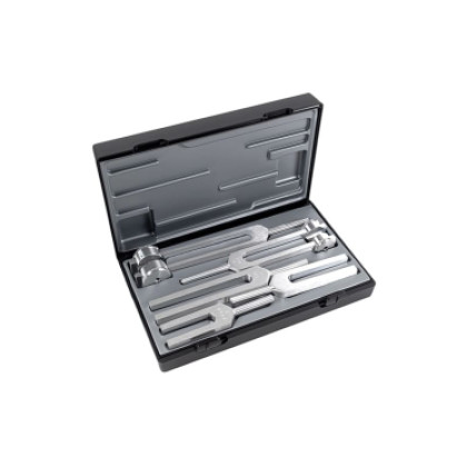 Камертон медицинский Riester Set III (5 штук) Фото товара Камертон медицинский Riester Set III (5 штук)