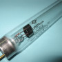 Лампа LightTech LTC30T8 G13  Фото товара Лампа LightTech LTC30T8 G13
