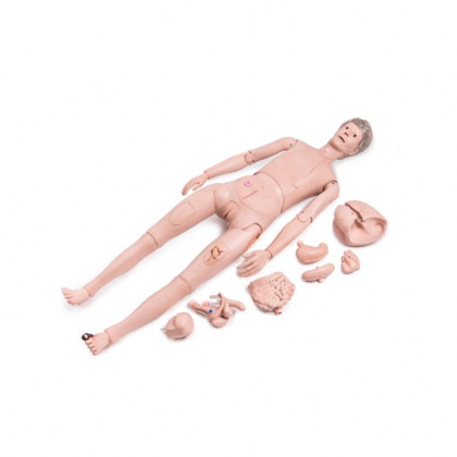 Манекен медицинский по уходу за пациентом P10/1 1018816 3B Scientific Фото товара Манекен медицинский по уходу за пациентом P10/1 1018816 3B Scientific