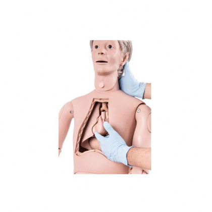 Манекен медицинский по уходу за пациентом P10/1 1018816 3B Scientific Фото товара Манекен медицинский по уходу за пациентом P10/1 1018816 3B Scientific