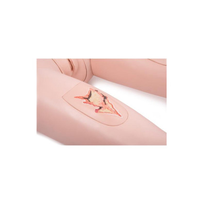 Манекен медицинский по уходу за пациентом P10/1 1018816 3B Scientific Фото товара Манекен медицинский по уходу за пациентом P10/1 1018816 3B Scientific