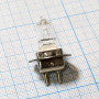 Лампа галогенная (галогеновая) Osram HLX 64251 6V 20W PG22 Фото товара Лампа галогенная (галогеновая) Osram HLX 64251 6V 20W PG22