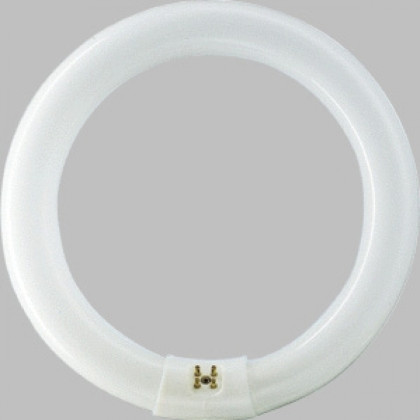 Фото товара Лампа люминесцентная Philips TL-E Circular 32W/33-640 1CT