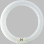 Фото товара Лампа люминесцентная Philips TL-E Circular 32W/33-640 1CT