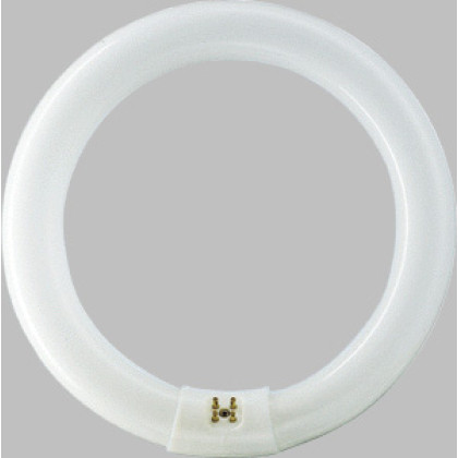 Фото товара Лампа люминесцентная Philips TL-E Circular 32W/33-640 1CT