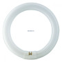 Фото товара Лампа люминесцентная Philips TL-E 22W/10 1CT