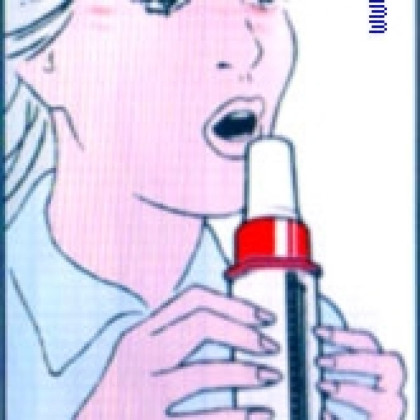 Пикфлоуметр Mini Wright Standart Фото товара Пикфлоуметр Mini Wright Standart