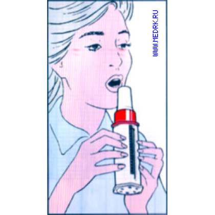 Пикфлоуметр Mini Wright Standart Фото товара Пикфлоуметр Mini Wright Standart