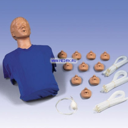 Фото товара Тренажер реанимации взрослого W44537