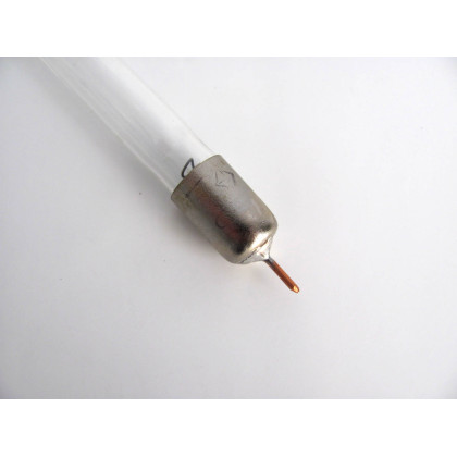 Электрод ректальный к Ультратон 03-АМП (сменный) Фото товара Электрод ректальный к Ультратон 03-АМП (сменный)