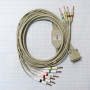 Фото товара Кабель пациента для ЭКГ Cardiovit Schiller (все модели, кроме CS-200) с 4мм штекерами, F8725R