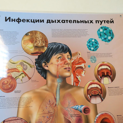 Фото товара Плакат Инфекции дыхательных путей ламинированный, 3B Scientific