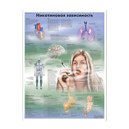 Фото товара Плакат Никотиновая зависимость ламинированный 3B Scientific