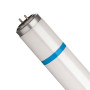 Лампа Philips Actinic BL TL-D 18W/10 26325440 Фото товара Лампа Philips Actinic BL TL-D 18W/10 26325440