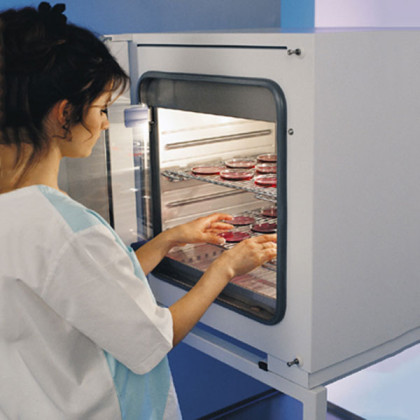 Фото товара Инкубатор лабораторный INCUCELL 55 Komfort