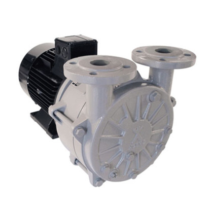 Фото товара Насос вакуумный SPECK V130 GRD-55 