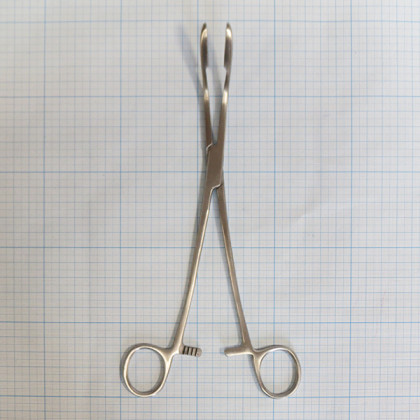 Корнцанг изогнутый 19-922 (Щ-20) 260мм Maier Фото товара Корнцанг изогнутый 19-922 (Щ-20) 260мм Maier