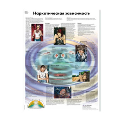 Фото товара Плакат Наркотическая зависимость 3B Scientific