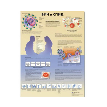Фото товара Плакат медицинский ВИЧ и СПИД 3B Scientific