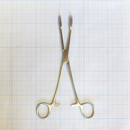 Корнцанг прямой для детей 230 мм 19-906 Maier (Sammar) Фото товара Корнцанг прямой для детей 230 мм 19-906 Maier (Sammar)