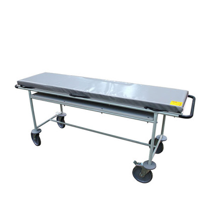 Тележка внутрикорпусная ТВ-ММ рентгенопрозрачная Фото товара Тележка внутрикорпусная ТВ-ММ рентгенопрозрачная