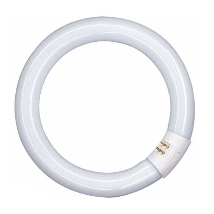 Лампа кольцевая Osram L 22W/840 C G10q Фото товара Лампа кольцевая Osram L 22W/840 C G10q