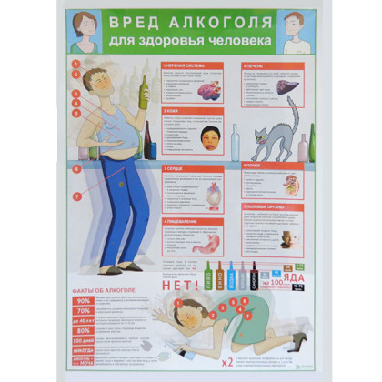 Плакат "Вред алкоголя" Фото товара Плакат "Вред алкоголя"