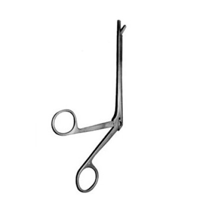 Конхотом со щеловидным отверстием №2 Фото товара Конхотом со щеловидным отверстием №2