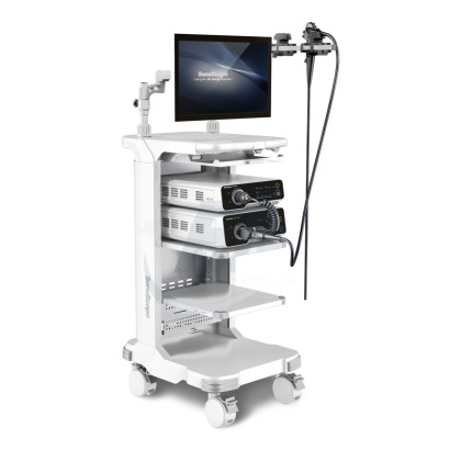 Фото товара Видеоэндоскопическая система SONOSCAPE HD-500