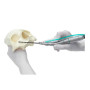 Фото товара SZ-75 Zygoma - наконечник угловой, без подсветки, 20:1, W&H