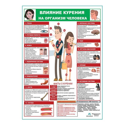 Фото товара Влияние курения на организм человека плакат глянцевый А1+/А2+