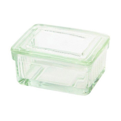 Фото товара Емкость стеклянная, 77 х 57 х 29 мм на 10 стекол горизонтально