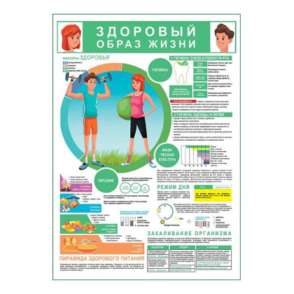 ЗОЖ гигиена спорт питание плакат глянцевый А1+/А2+ Фото товара ЗОЖ гигиена спорт питание плакат глянцевый А1+/А2+