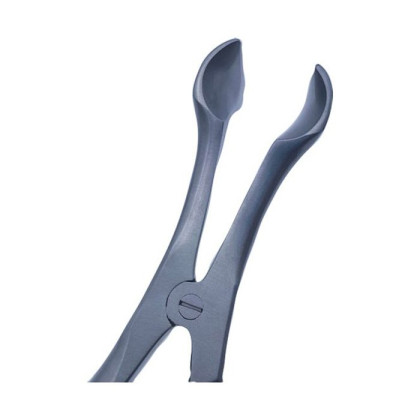 Зеркало носовое с длиной губок 35 мм Фото товара Зеркало носовое с длиной губок 35 мм