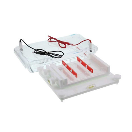 Камера для горизонтального электрофореза SE-2 Фото товара Камера для горизонтального электрофореза SE-2