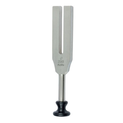 Фото товара Камертон по Лукае без демпферов  (частота 2048) KaWe