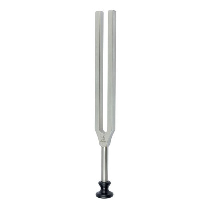 Фото товара Камертон по Лукае без демпферов  (частота 256 Гц) KaWe